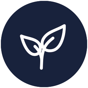 Icon 3